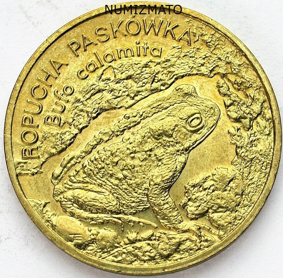2 zł 1998 r. - Ropucha Paskówka (Bufo calamita) - Zwierzęta Świata, dwa złote NG